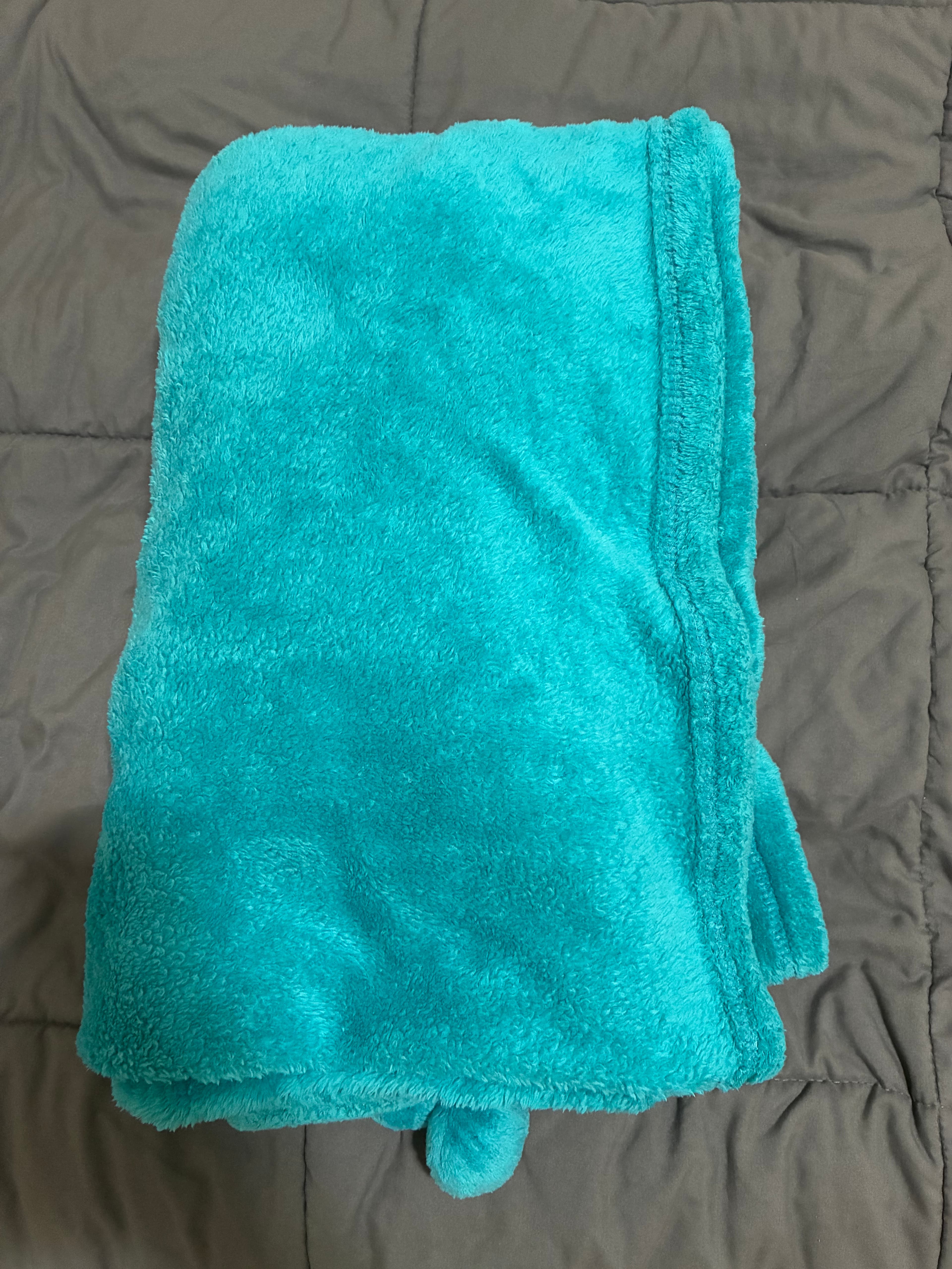 Teal Plush Blanket